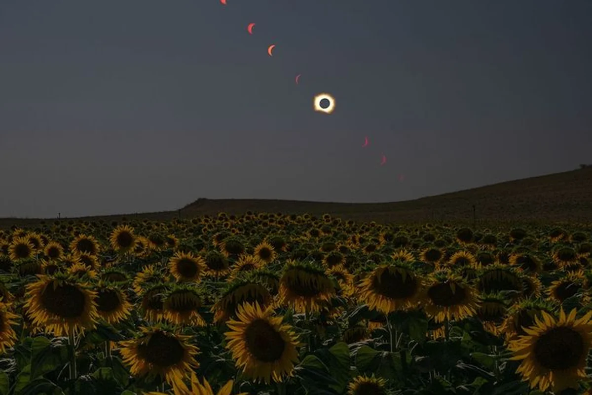 Partial Eclipse over Morocco Southern Hubs